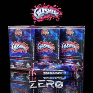 Zero 2g